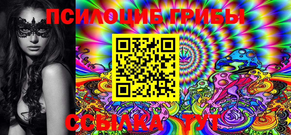 Галлюциногенные грибы Magic Shrooms  Вход с VPN  Шебекино  где можно купить   Галлюциногенные грибы ЛСД 