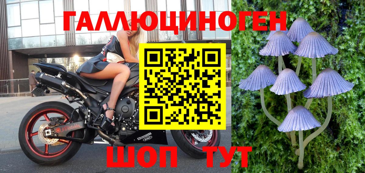 Галлюциногенные грибы ЛСД Шебекино